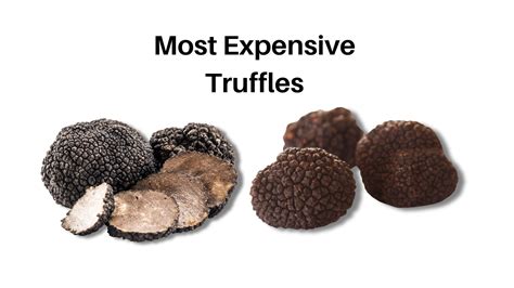 truffle oil most expensive.